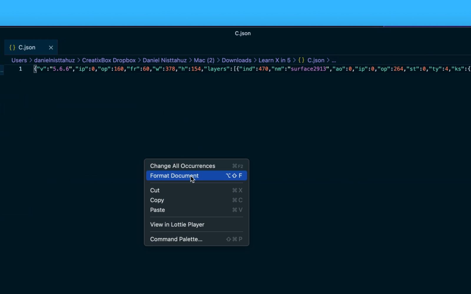 Format the JSON document in VS Code